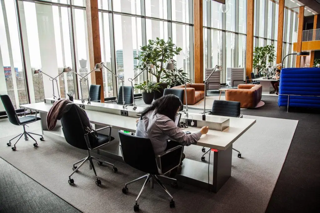 Ergonomic Workspace with Natural Elements
